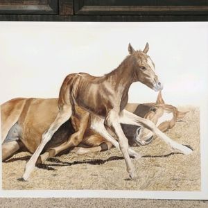 New Beginnings by Patti Bertram